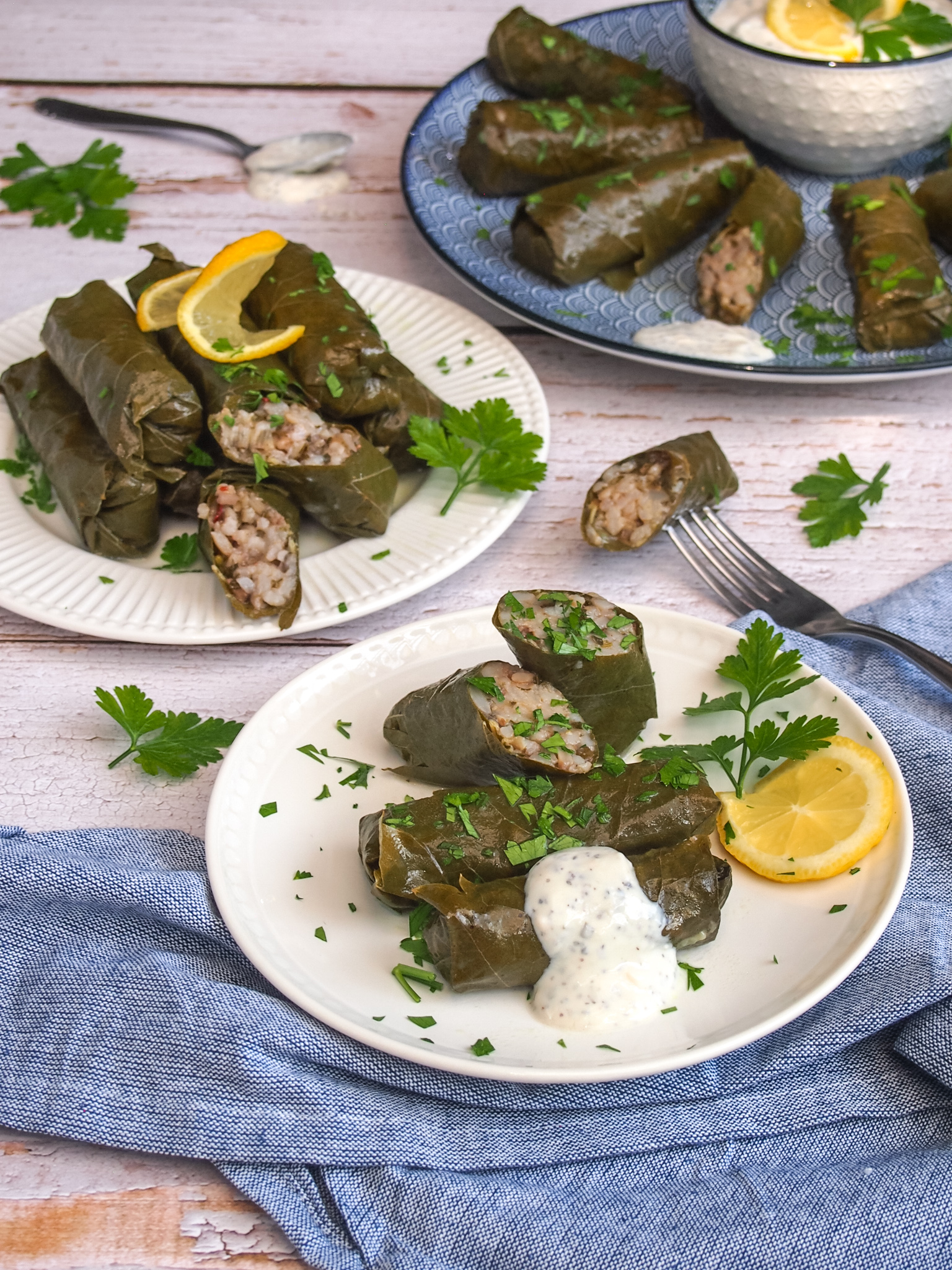 Weinblätter Dolmadakia griechisch vegan